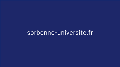 image-sorbonne-universite image-de-representation-sorbonne-universite