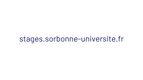 image-stage-sorbonne-universite image-de-representation-stages-sorbonne-universite